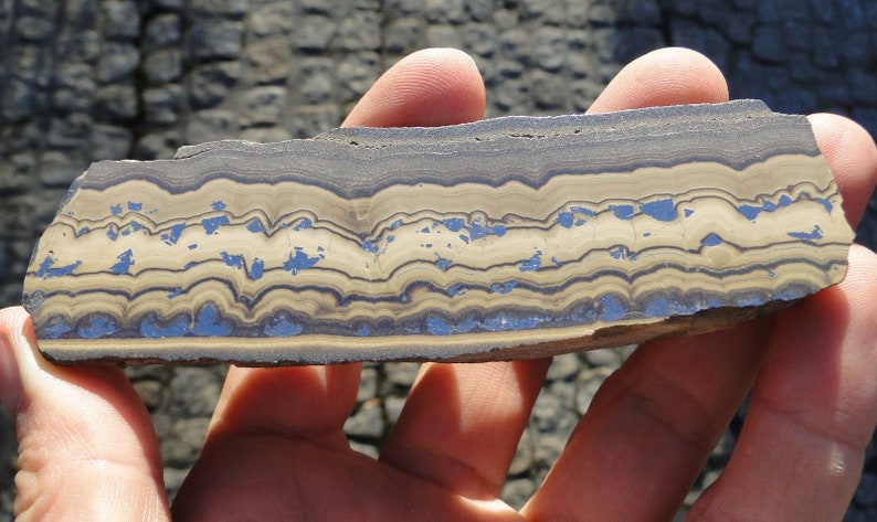 May include: A close-up of a banded rock with alternating layers of brown, white, and blue. The rock has a smooth, polished surface.