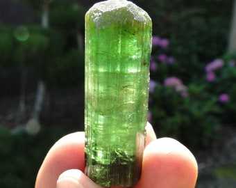 107.5ct Gem Green TOURMALINE - ELBAITE var. VERDELITE - Minas Gerais, Brazil - Free shipping - Air Mail - worldwide on everything !