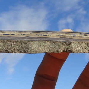 May include: A close-up of a banded iron formation rock slab with alternating layers of brown, black, and white. The rock is rough and textured.