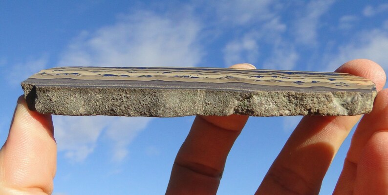 May include: A close-up of a banded iron formation rock slab with alternating layers of brown, black, and white. The rock is rough and textured.
