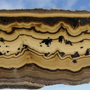 May include: A close-up of a banded rock with alternating layers of brown and tan. The rock has a rough, textured surface and is covered in small, black specks.