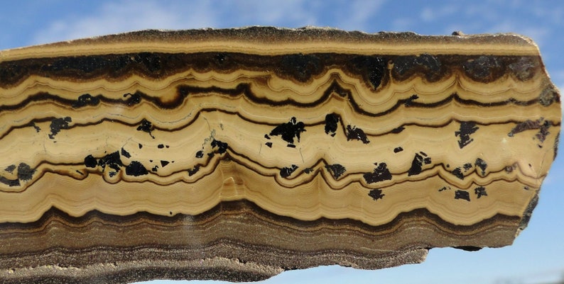 May include: A close-up of a banded rock with alternating layers of brown and tan. The rock has a rough, textured surface and is covered in small, black specks.