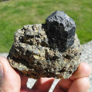 May include: A raw mineral specimen featuring a single, dark, hexagonal crystal protruding from a rough, textured, brownish-gray matrix rock. The crystal has a glossy, reflective surface with sharp, defined edges and a pointed, faceted top termination.