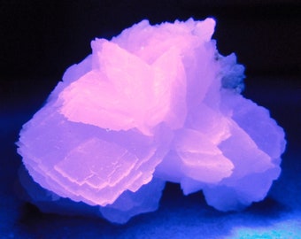 Puede incluir: Primer plano de una formación mineral de color púrpura claro con una estructura cristalina. El mineral tiene una apariencia en capas y está iluminado con una luz rosada-púrpura sobre un fondo azul oscuro. La forma general es irregular y texturizada.