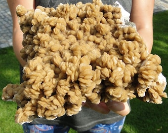 XXL van meer dan 6 LB !! - BARITE (BARYT) Crystal Cluster - oud exemplaar uit de Lubin-mijn, Polen!