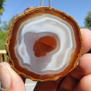 May include: A close-up of a white agate geode with brown and orange banding. The geode is cut in half and polished, revealing the intricate patterns of the agate.
