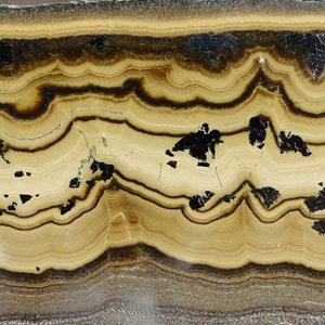 May include: Close-up of a banded agate with brown and black stripes. The agate has a smooth, polished surface.