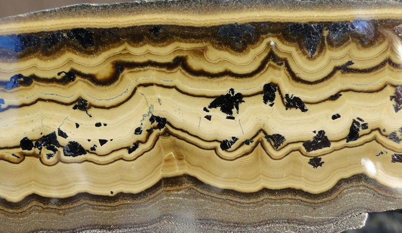 May include: Close-up of a banded agate with brown and black stripes. The agate has a smooth, polished surface.