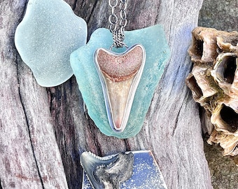 Genuine Fossilized Hastalis Shark Tooth in Sterling Silver, Pendant