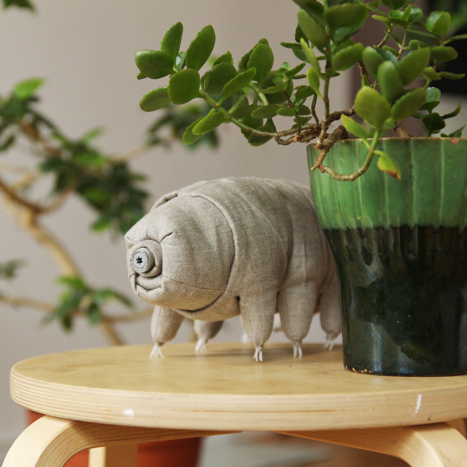 Plush Tardigrade. Science Gift. Biology Art. Geek Gift. Nerd Etsy