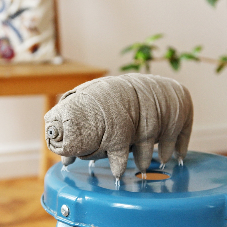 tardigrade stuffed animal