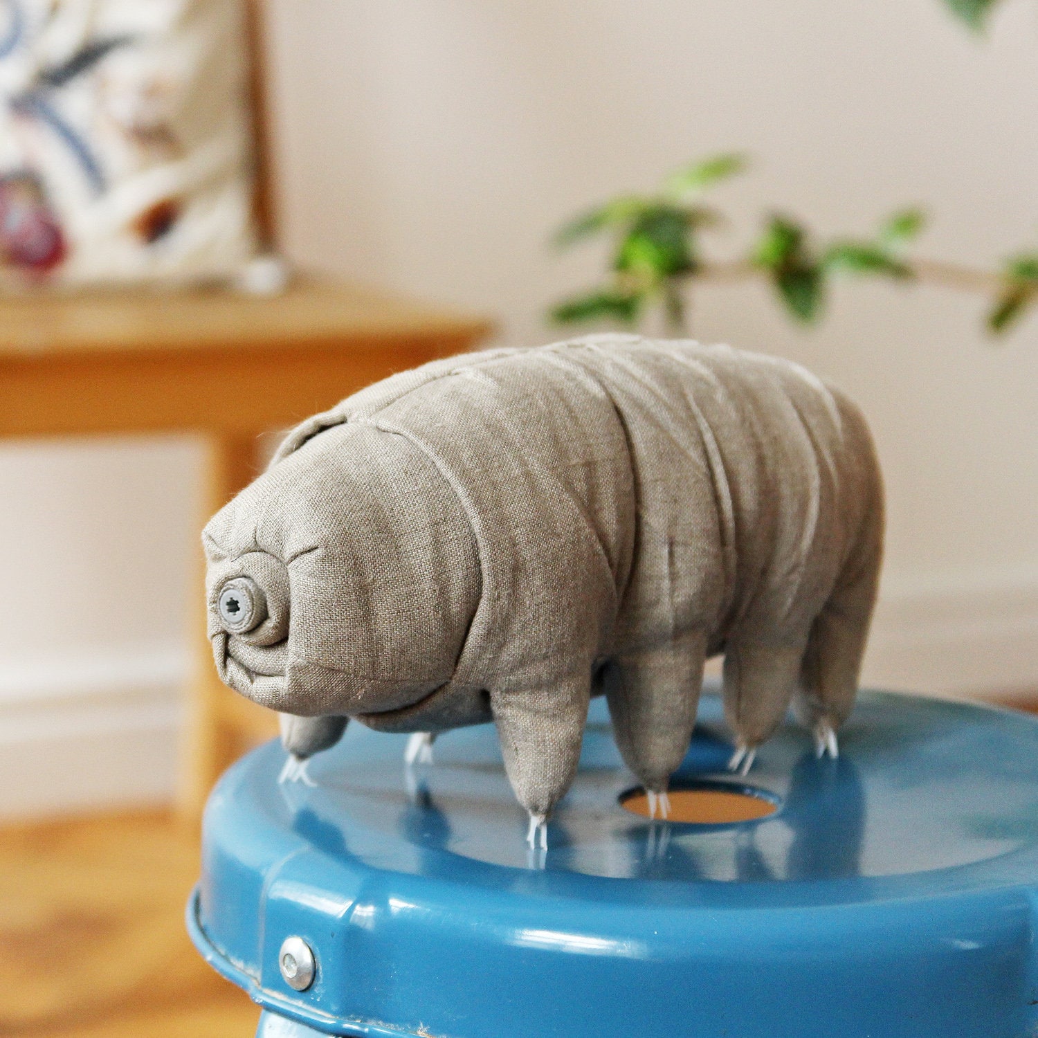 water bear plush toy