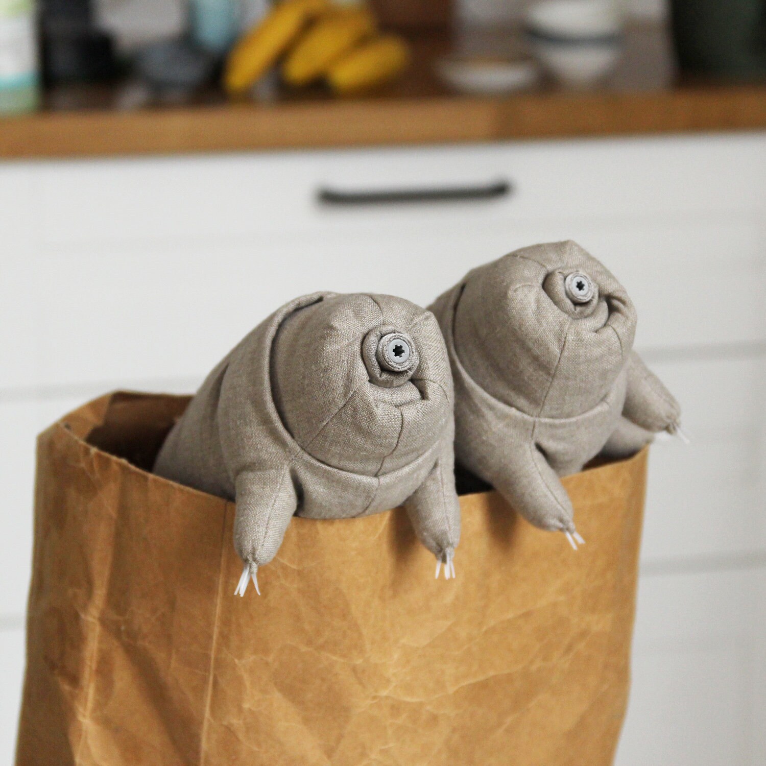 Plush Tardigrade. Science Gift. Biology Art. Geek Gift. Nerd Etsy