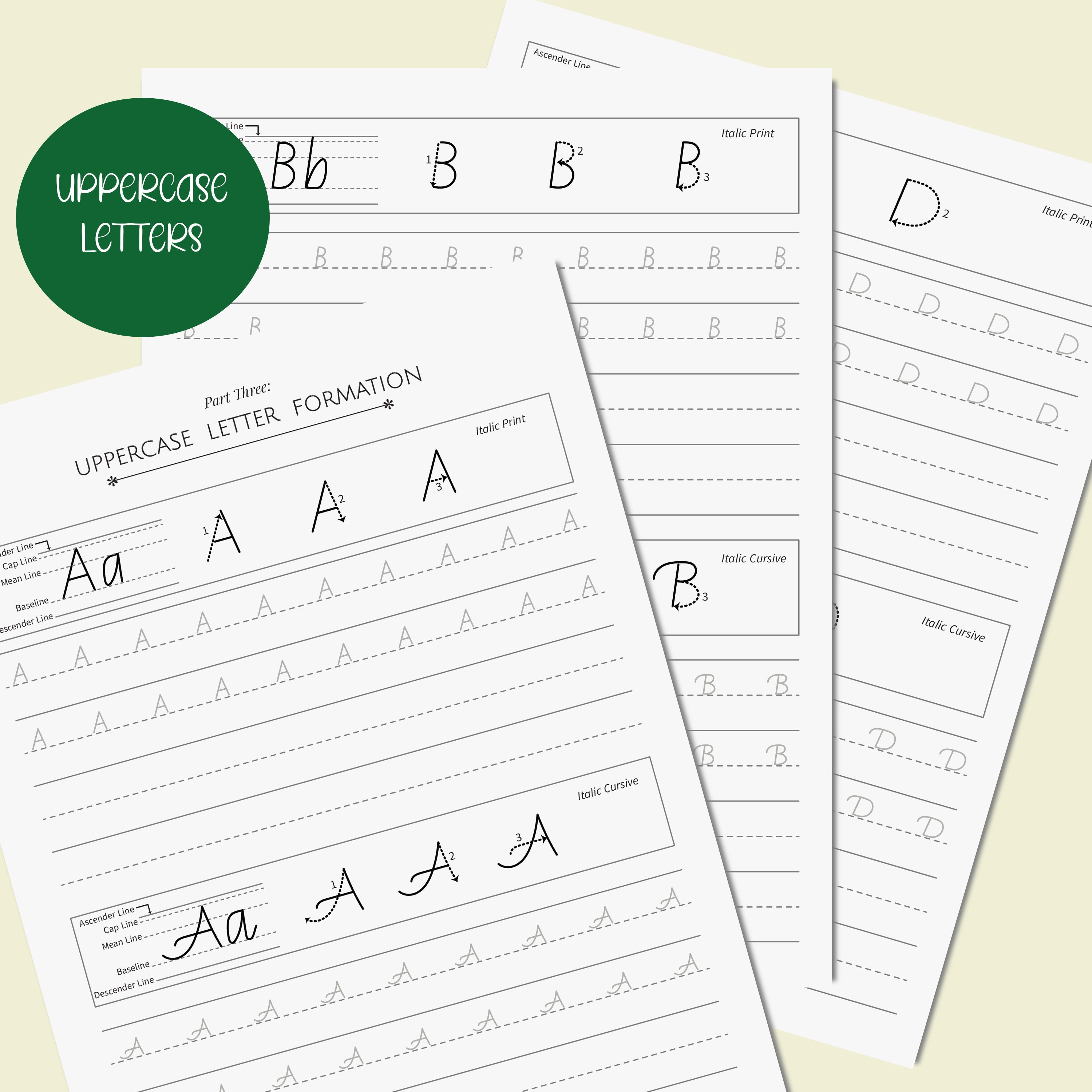 ITALIC HANDWRITING WORKBOOK Transitioning From Italic Print Etsy