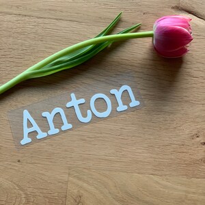 Könnte beinhalten: Weißer Vinyl-Aufkleber mit dem Namen "Anton" auf einer Holzoberfläche mit einer rosa Tulpe.