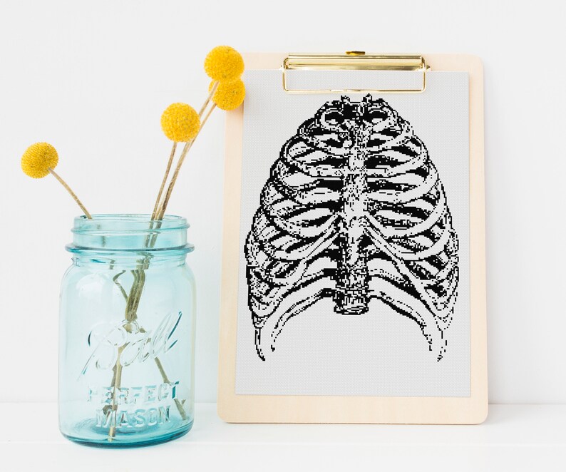 Ribcage Rib Cage Cross Stitch Pattern Counted X Stitch Anatomy Etsy