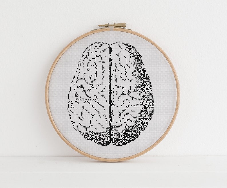 Anatomical Brain Cross Stitch Pattern Counted X Stitch Anatomy Etsy