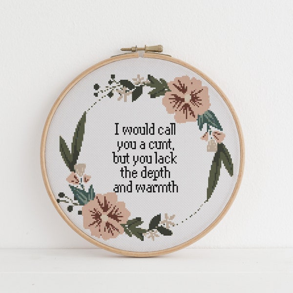 I would call you a c*nt, but you lack the depth and warmth  cross stitch xstitch funny Insult pattern pdf