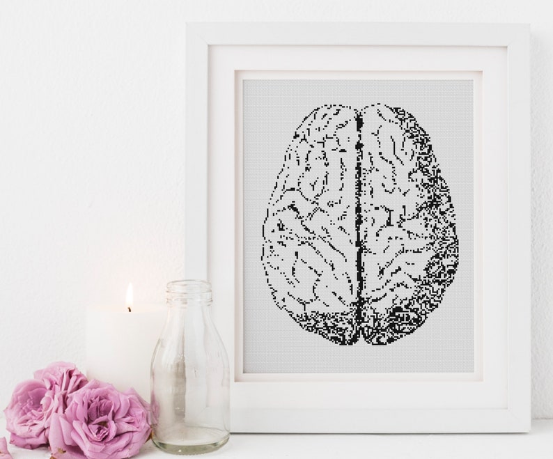 Anatomical Brain Cross Stitch Pattern Counted X Stitch Anatomy Etsy