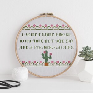 I&#39;ve met some pricks in my time cactus cross stitch pattern