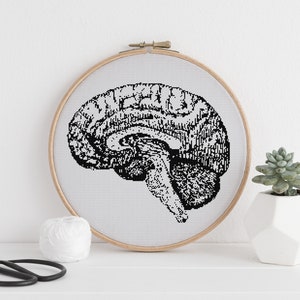 Brain dissection cross stitch pattern counted x stitch Anatomy