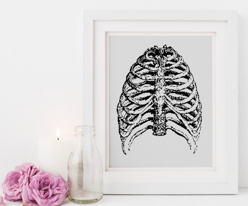 Ribcage Rib Cage Cross Stitch Pattern Counted X Stitch Anatomy Etsy
