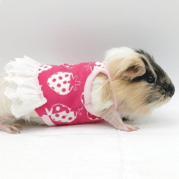 Guinea Pig Clothes Etsy