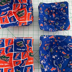 Florida Gators Cozies