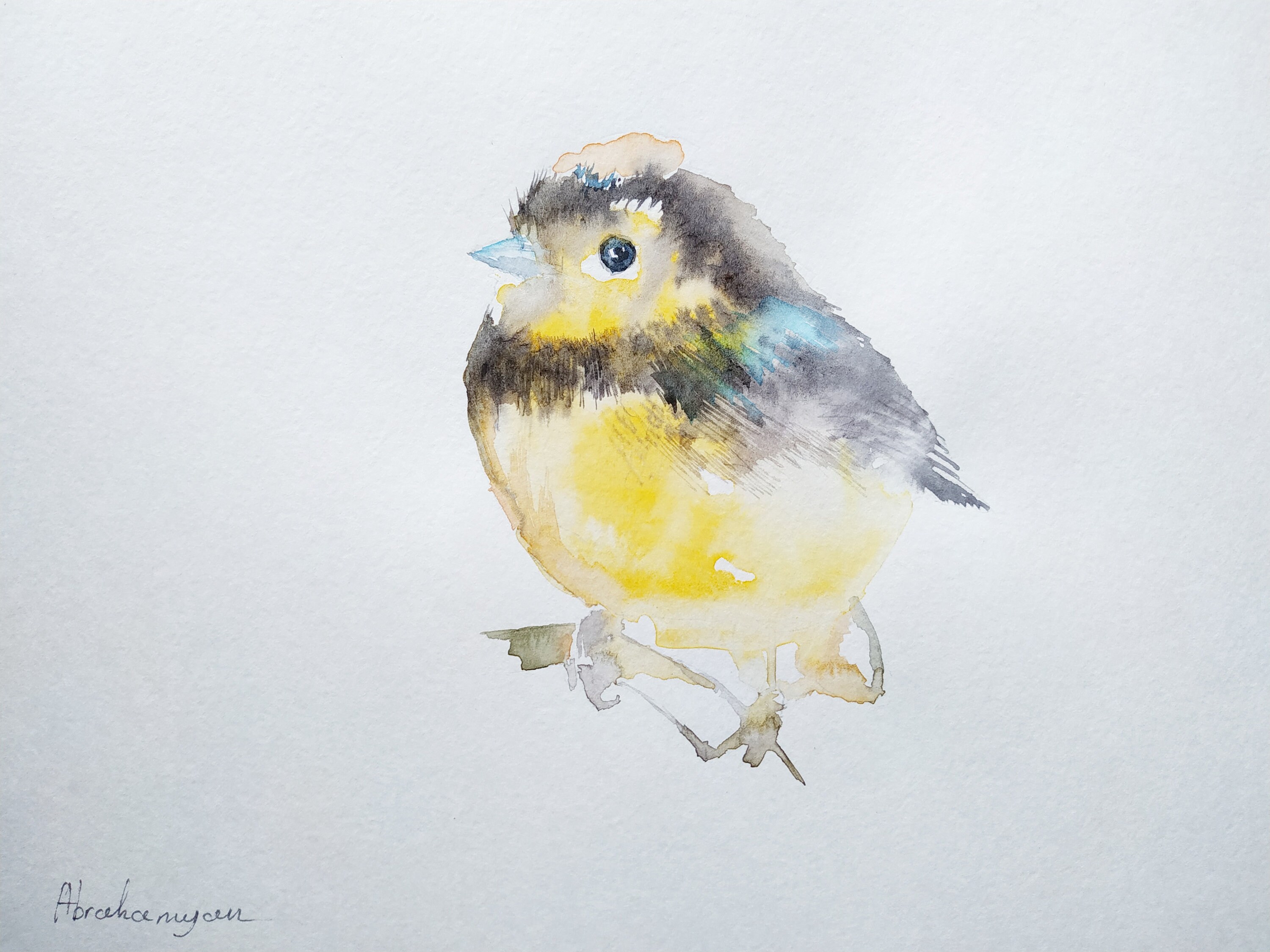 signed Watercolor artwork Old World Flycatcher Handmade painting Illustration wall Birds