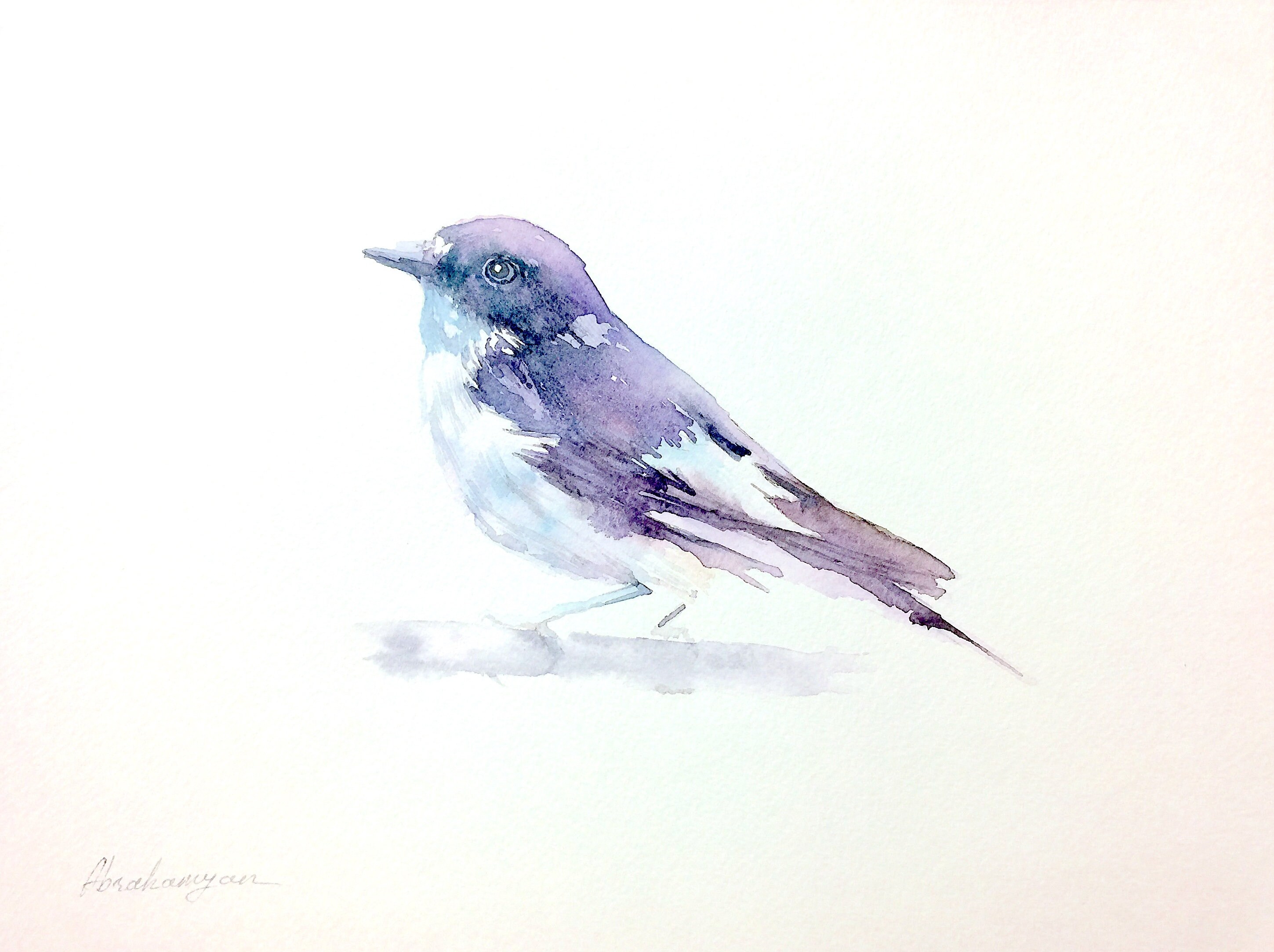 signed Watercolor artwork Old World Flycatcher Handmade painting Illustration wall Birds