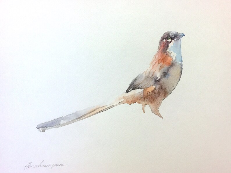 signed Watercolor artwork Old World Flycatcher Handmade painting Illustration wall Birds