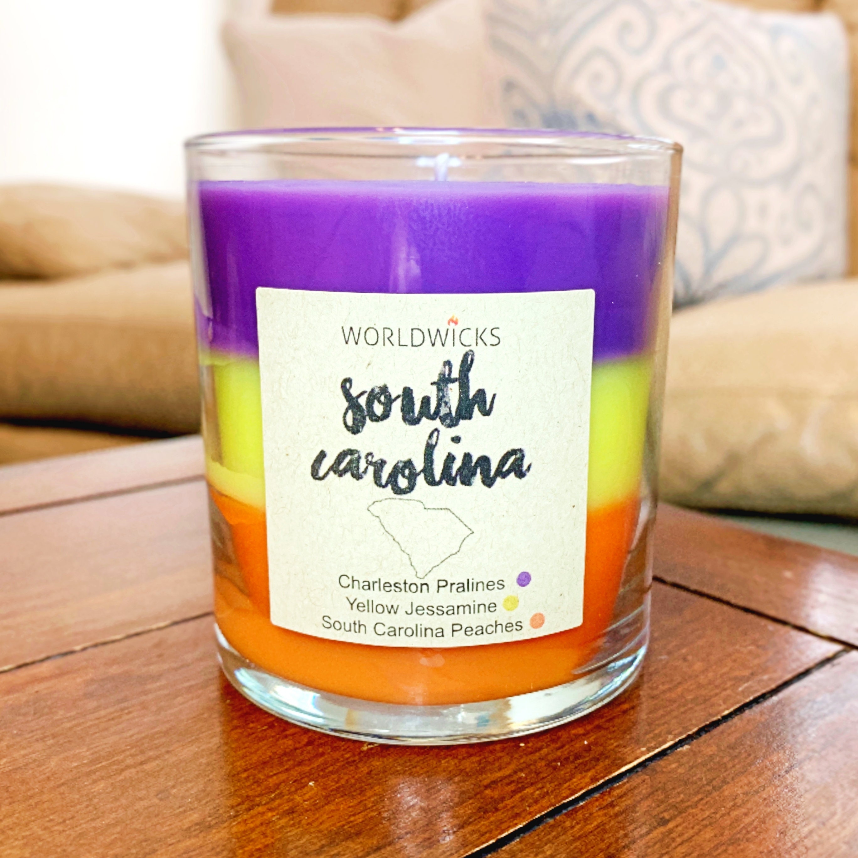 South Carolina Scented Candle Triple Scented State Candle Etsy