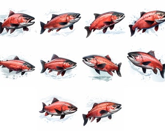 10 Salmon Bundle Design | High Quality PNG| Sublimation | Digital Download | T-shirt Design | Fish Painting | Cute Animal Clipart | Postcard