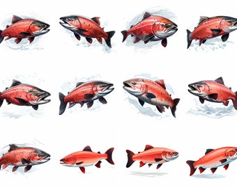 Salmon Bundle Design | 4 High Quality PNG| Sublimation | Digital Download | T-shirt Designs | Fish Painting | Cute Animal Clipart | Postcard