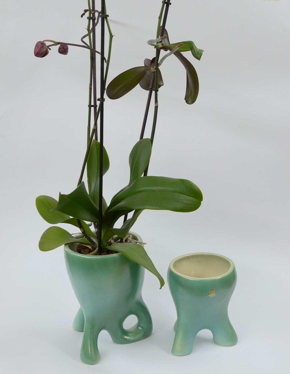 unusual orchid pots