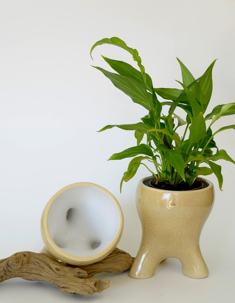 Set of 2 Ceramic Planters / Unique Orchid Pot / Wabi Sabi Plant Pots / Handmade Planters image 4