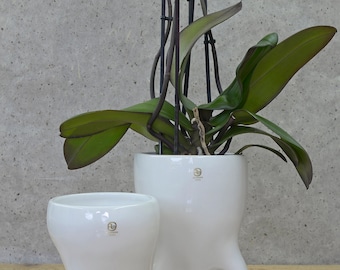 Set of 2 Ceramic Planters / Unique Orchid Pot / Plant Pots / Handmade Planters / White Ceramic