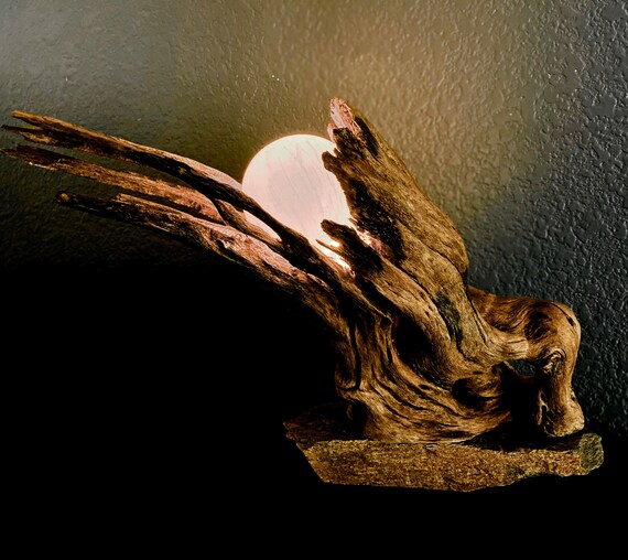 Saguaro cactus lamp best sale