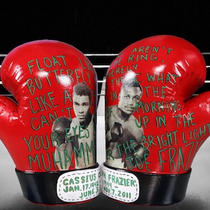 EVA Foam Boxing Gloves