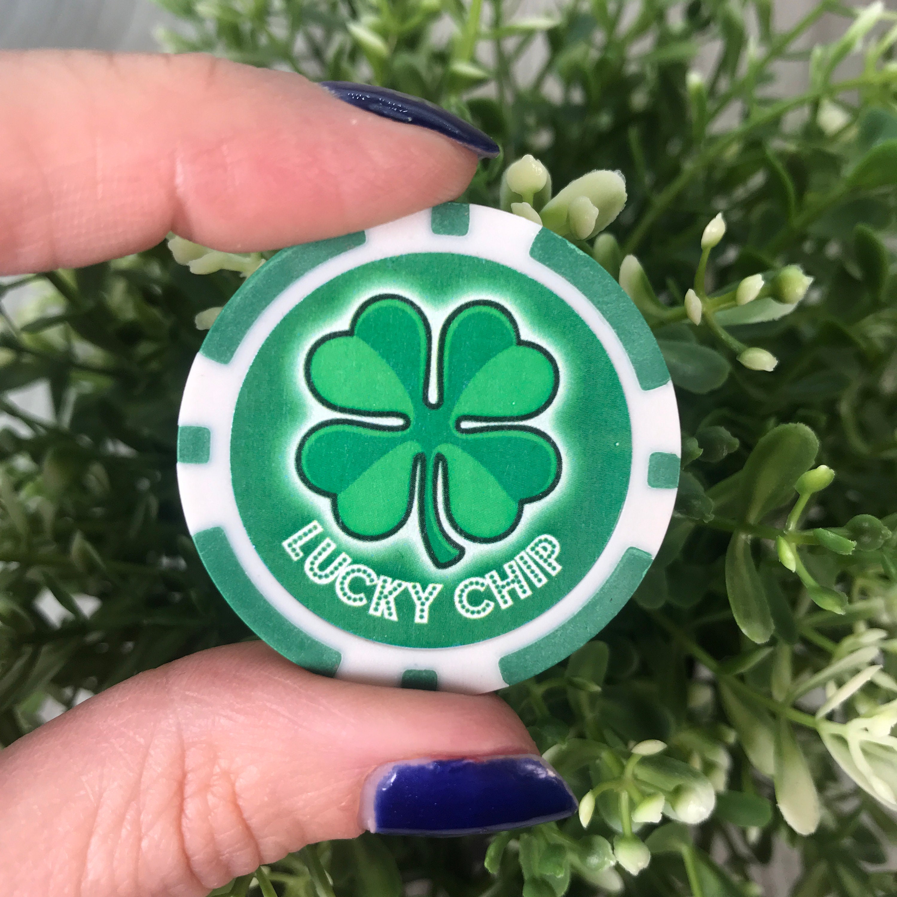 Good Luck Eagle Four-Leaf Clover Lucky Coin Lottery Ticket Scratcher Tool Lucky Charm Gift For Women Men Kids (Single Coin