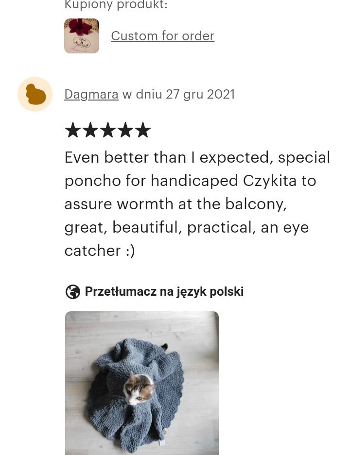 Mystery Box for Petmystery Box for Giftgift Ideagift for Etsy