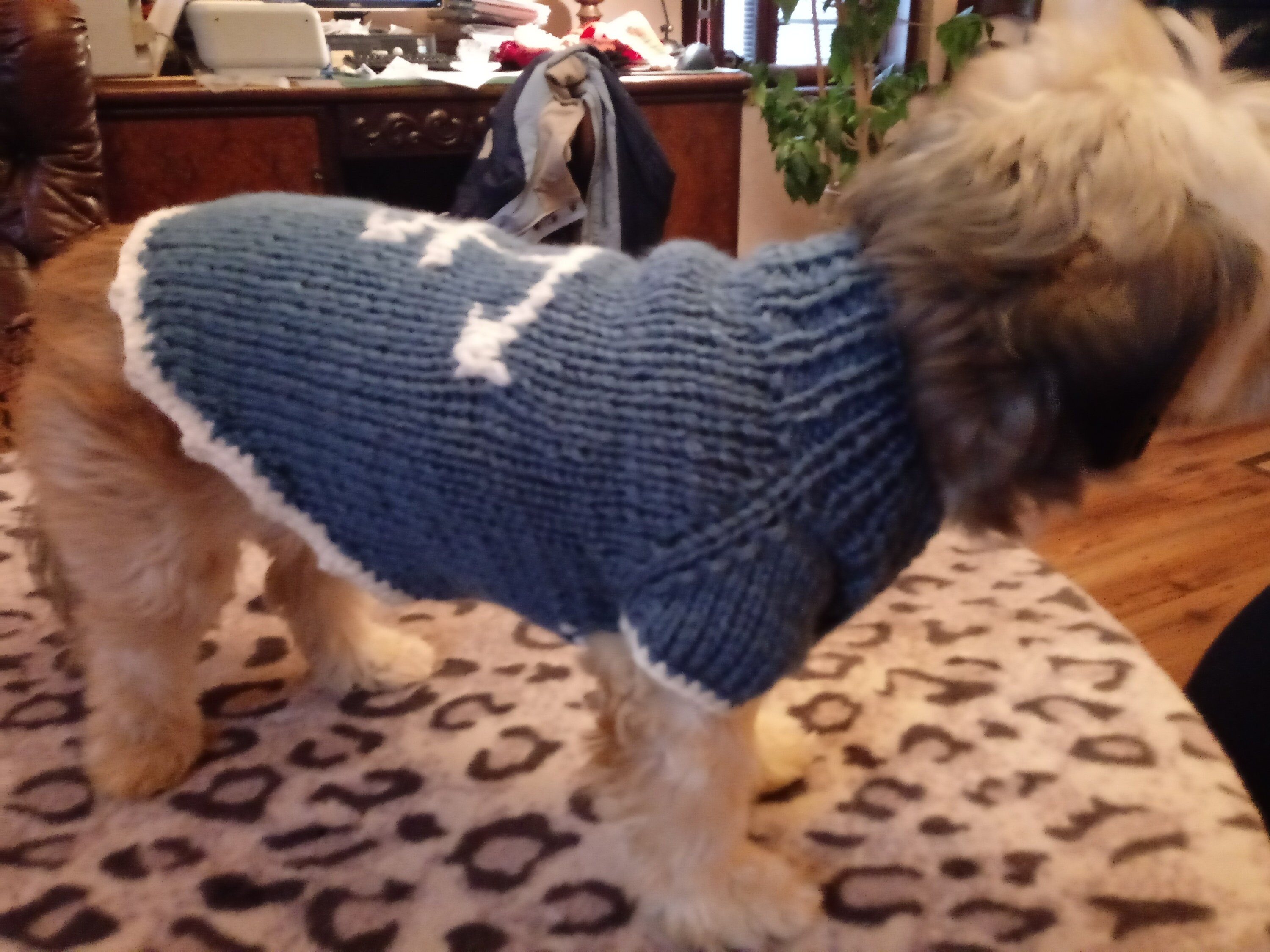 Shih tzu sweater winterr dog sweaterpet sweater dog Etsy