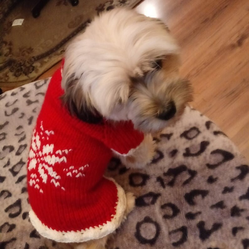 Knitted Shih Tzu Dresssalmon Shih Tzu Dress Crochet Shih Tzu Etsy