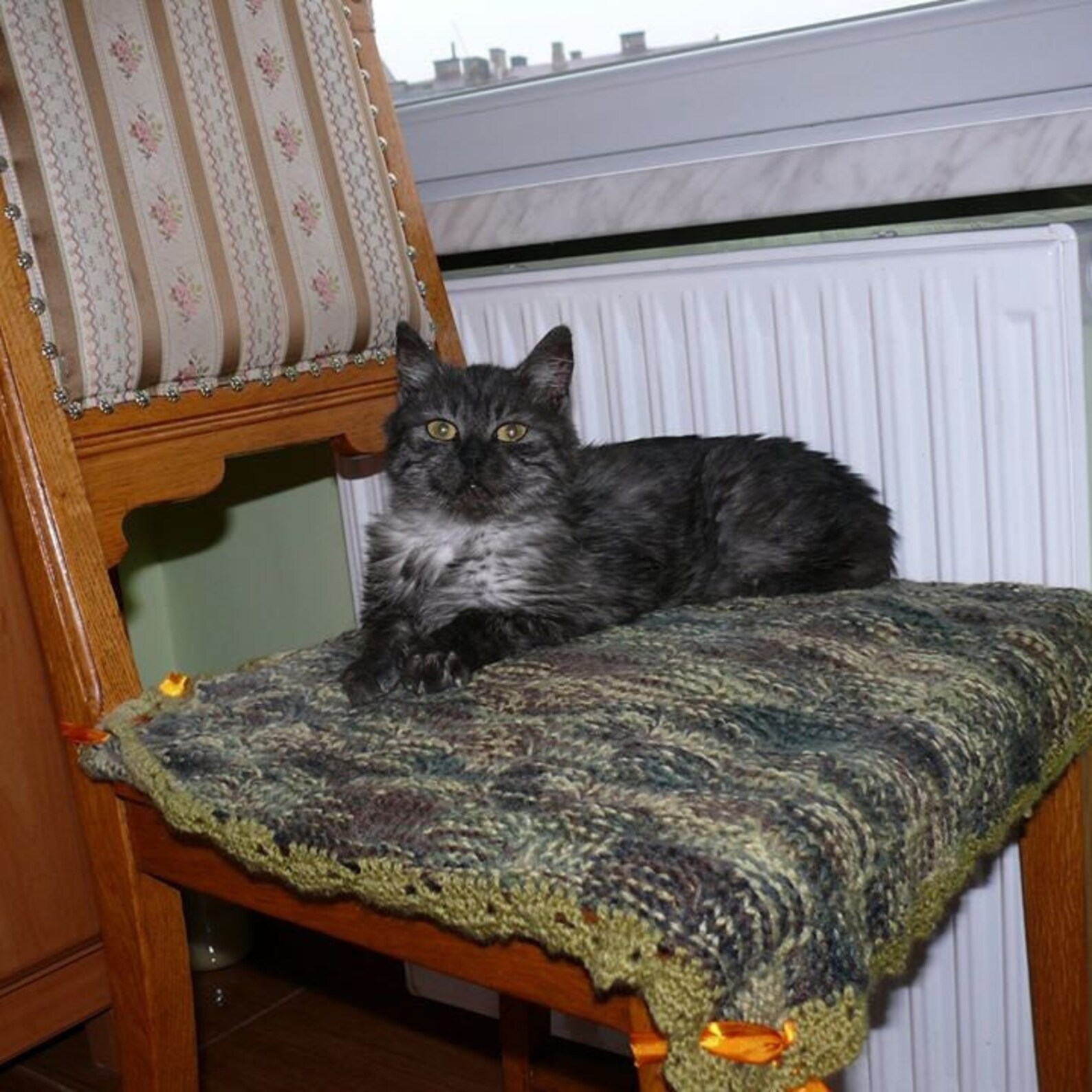 Weiche Strickdecke Hund Handgemachte Decke Katze Strickdecke | Etsy