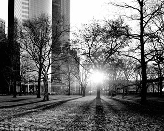Battery Park at Dawn Print - New York City Photography
