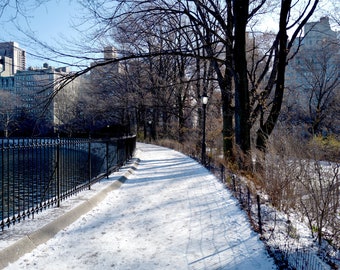 Central Park Reservoir Bend in the Snowy Path  - New York City Photography