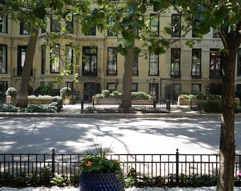 Historic Chicago Gold Coast Row Homes on N State Parkway