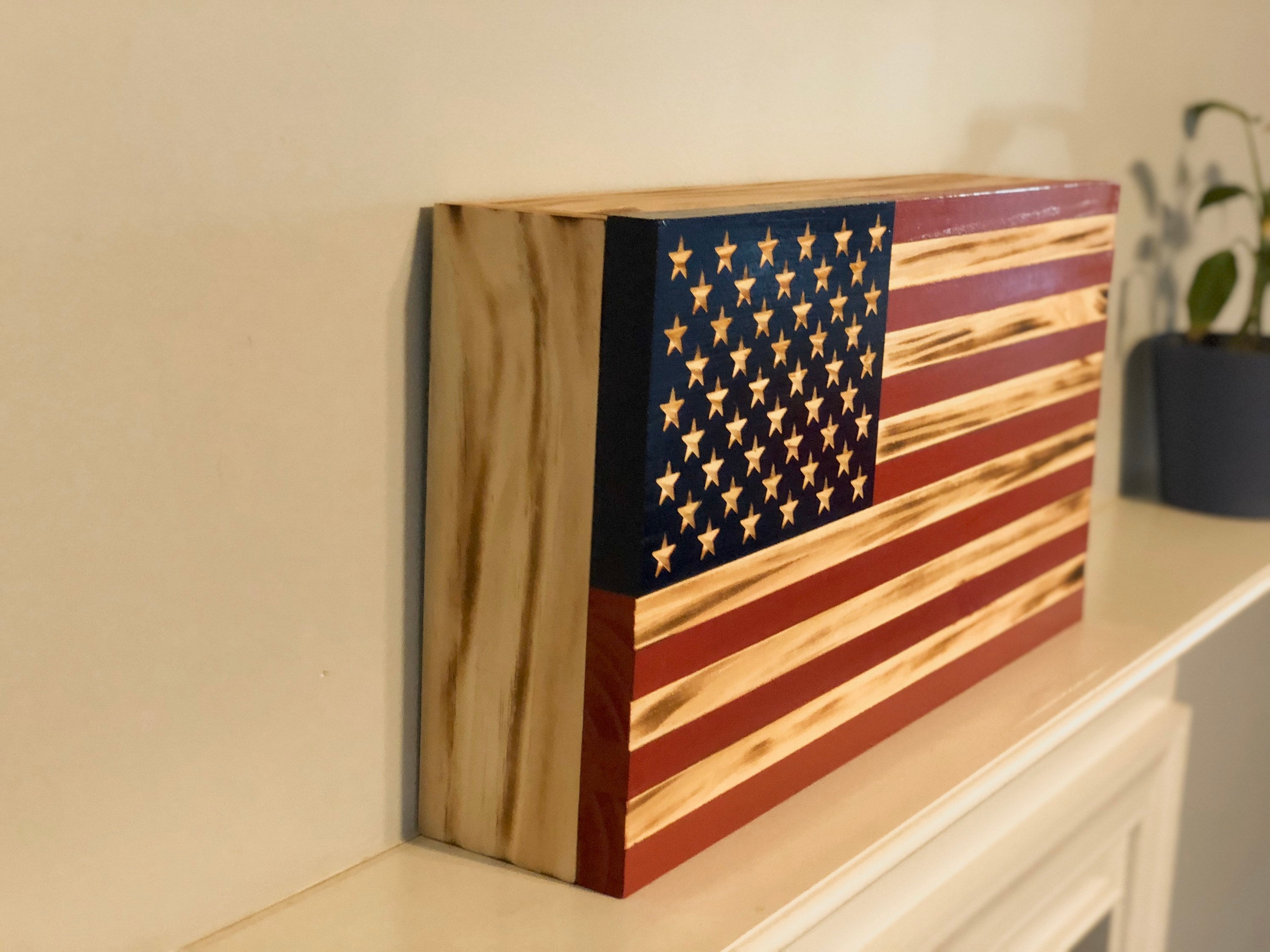 American Flag Gun Concealment Case