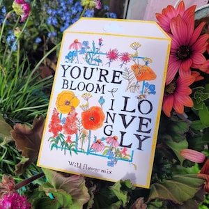 Wildflower Seed Packet Greeting Card (seed assortment in each card)