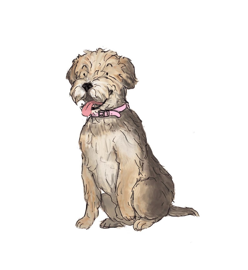 Custom Pet Portrait/illustration Commission Etsy UK